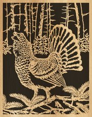 058-capercaillie
