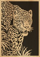 063-jaguar