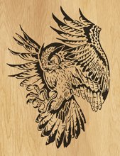 066-owl
