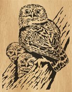 080-owls