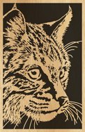 082-bobcat