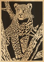 086-leopard