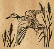 089-duck