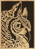 092-owl