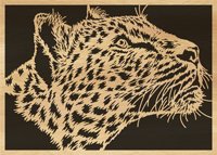 100-leopard