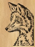 101-fox