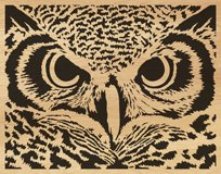 103-owl