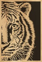 107-tiger