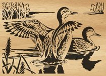 108-ducks