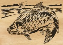 109-carp