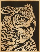 110-owl