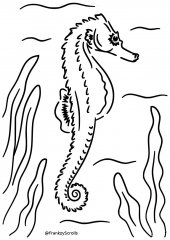 Seahorse