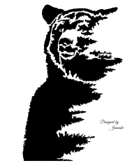 bear3.png