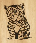 033-kitten