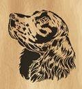 023 spaniel