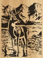 028-deer