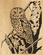 044-Owl
