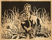 048-rabbit