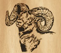 021-ram