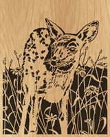 016-fawn