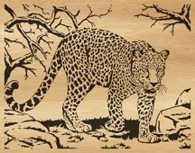 049-leopard