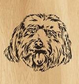 013-Dog
