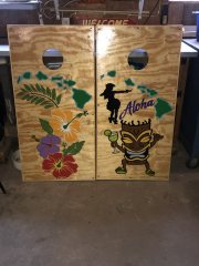 My Set of Cornhole boards