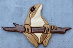 Tree Frog Intarsia