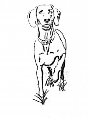 travis dog pattern.jpg