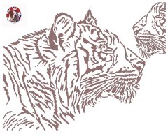big cat.jpg