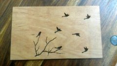 Flying Birds
