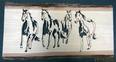 Wild Horses