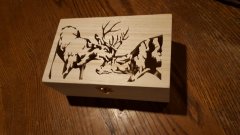 20181213_185219.jpg