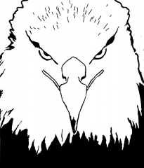 eagle.png