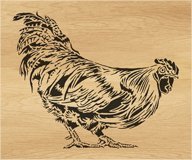 113-rooster