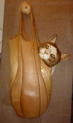 cat in bag