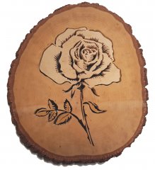 rose (2).jpg