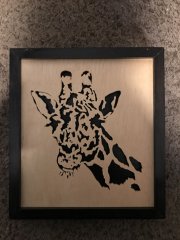 Giraffe.JPG