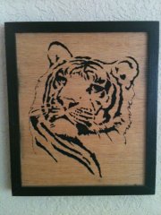 IMG_0008.JPG