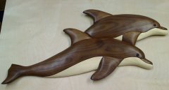 dolphins