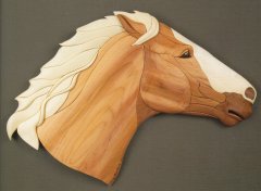 mustang