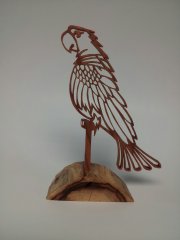parrot-1.jpg