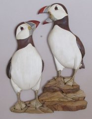 puffins-2