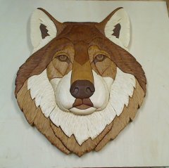 wolf