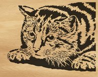 114-cat