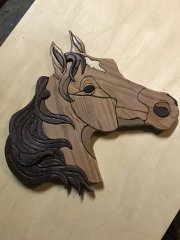 Arabian Horse Head.JPG