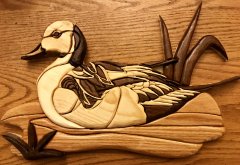 Pintail Duck Intarsia.JPG