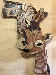 Mama and Baby Giraffe (2).JPG