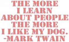 The_More_I_Like_My_Dog.png