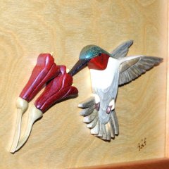 Humming bird